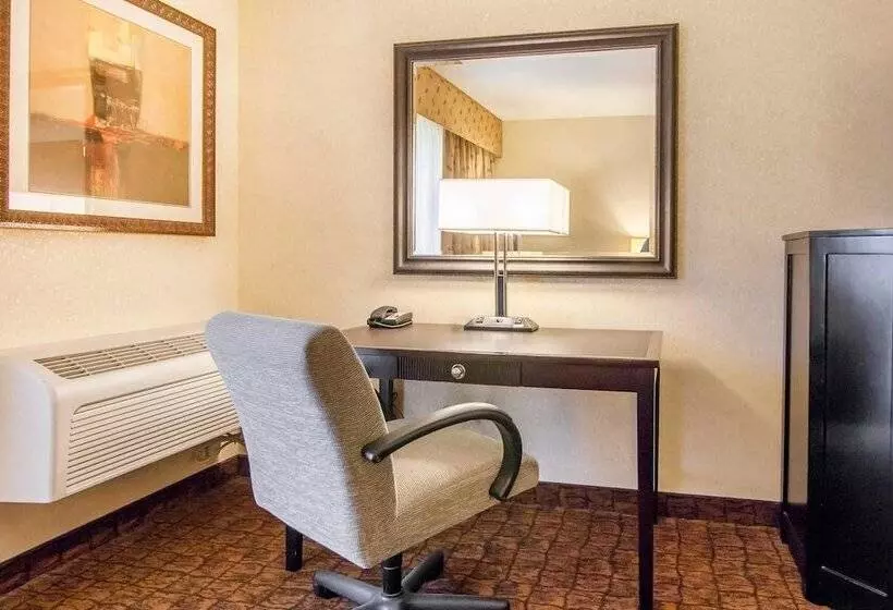 スタンダードルーム, Comfort Inn & Suites