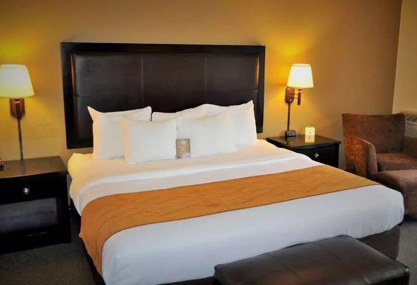 スタンダードルーム, Comfort Inn & Suites