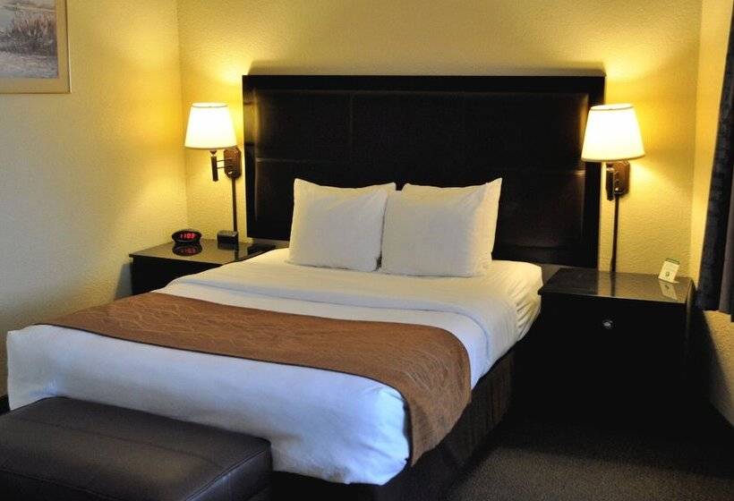 Номер Стандарт, Comfort Inn & Suites