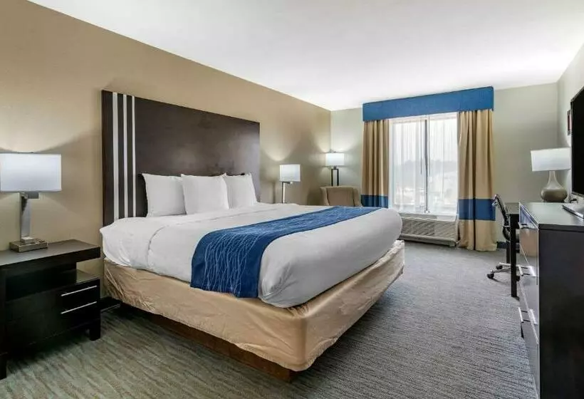 キングサイズベッドのスタンダードルーム, Comfort Inn