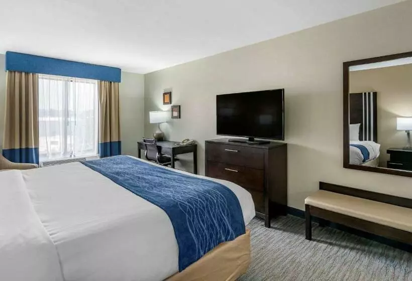 キングサイズベッドのスタンダードルーム, Comfort Inn