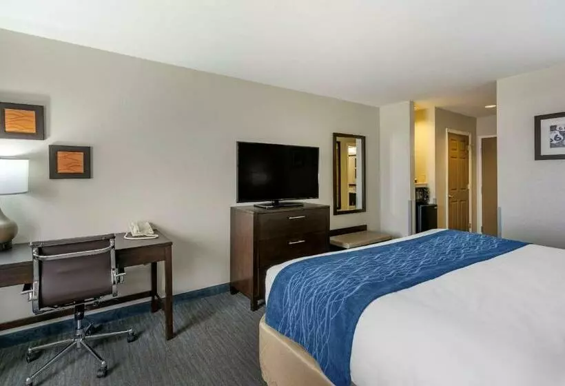 キングサイズベッドのスタンダードルーム, Comfort Inn