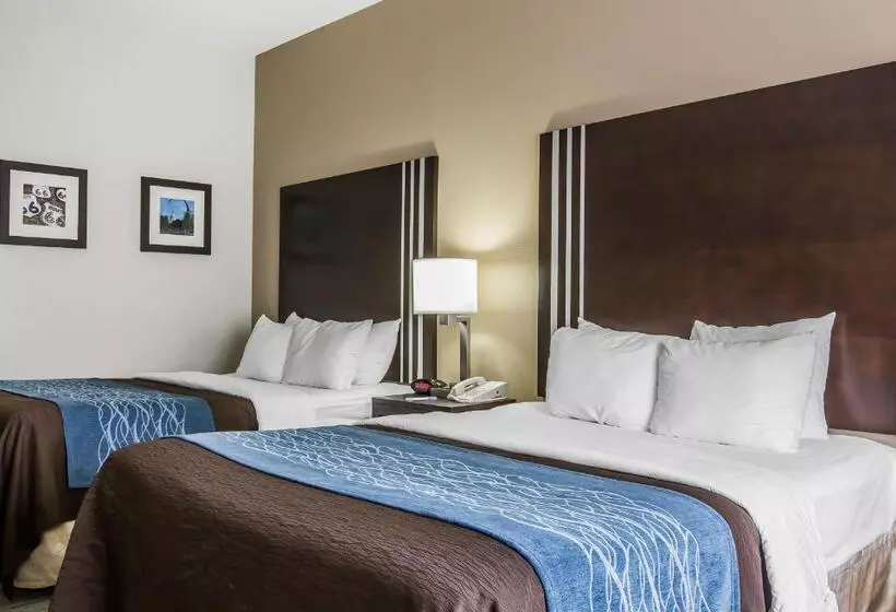 スタンダードルーム, Comfort Inn