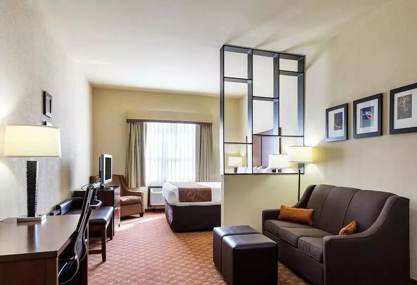 スイート, Comfort Suites Near Nasa  Clear Lake
