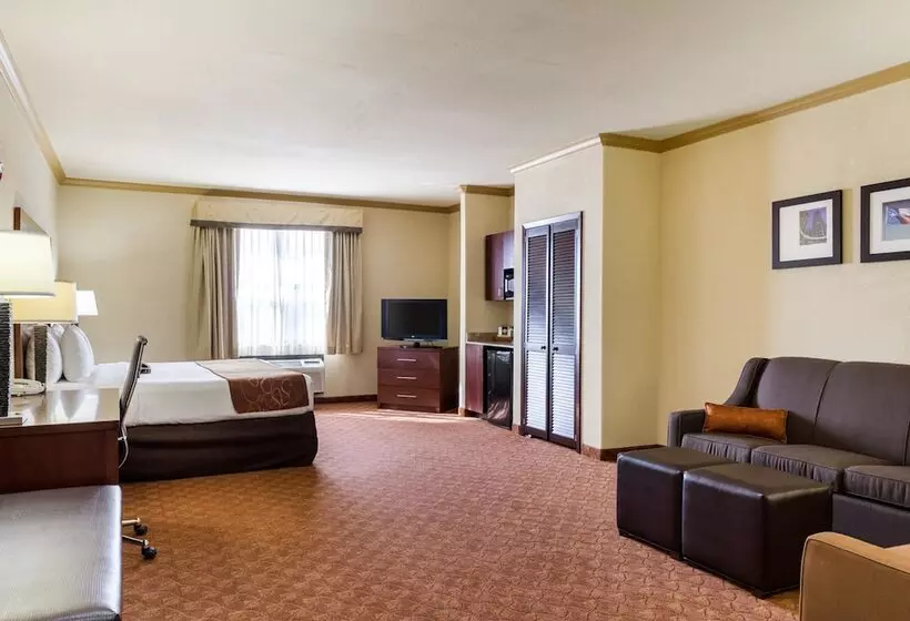 スイート, Comfort Suites Near Nasa  Clear Lake