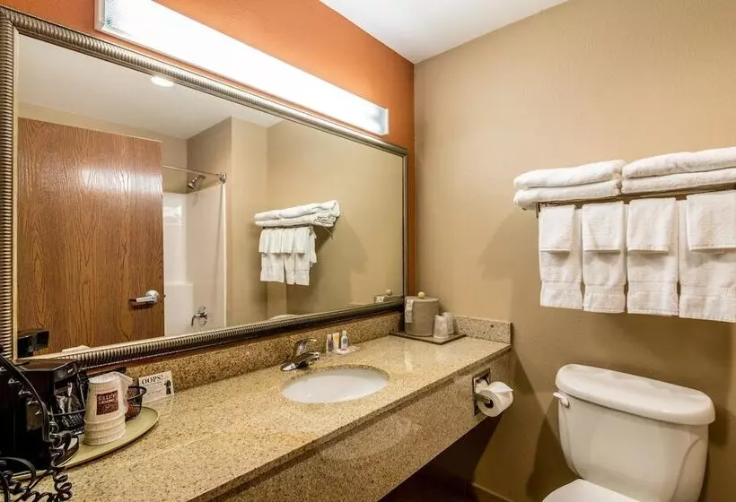 سوئیت برای معلولان, Comfort Suites
