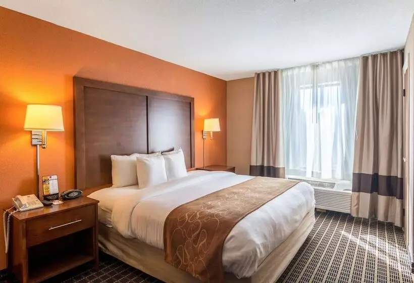 سوئیت برای معلولان, Comfort Suites