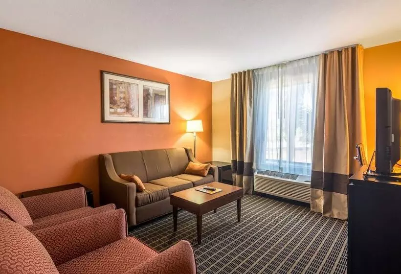 سوئیت برای معلولان, Comfort Suites