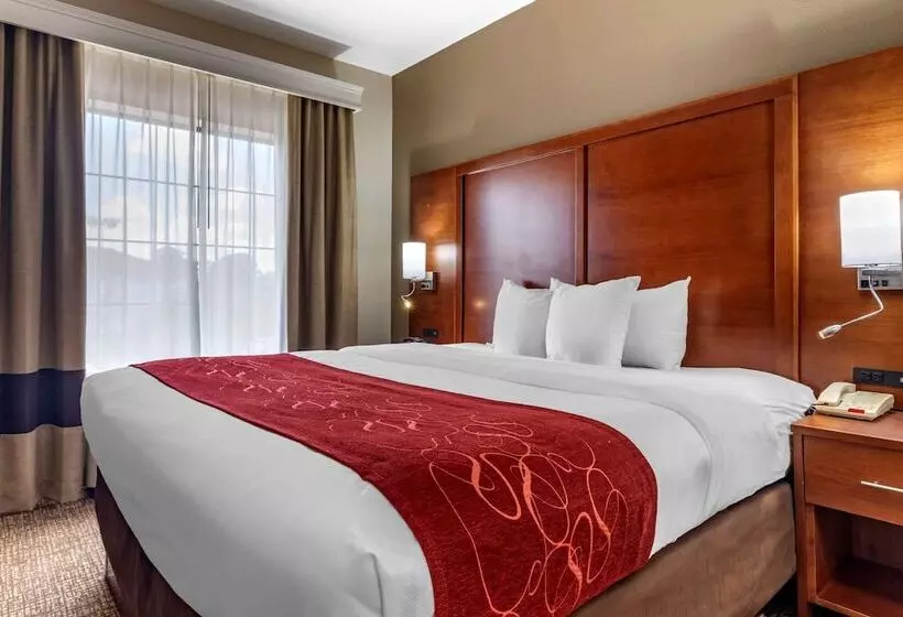 سوییت, Comfort Suites Shreveport West I20