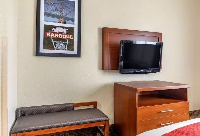 سوییت, Comfort Suites Shreveport West I20