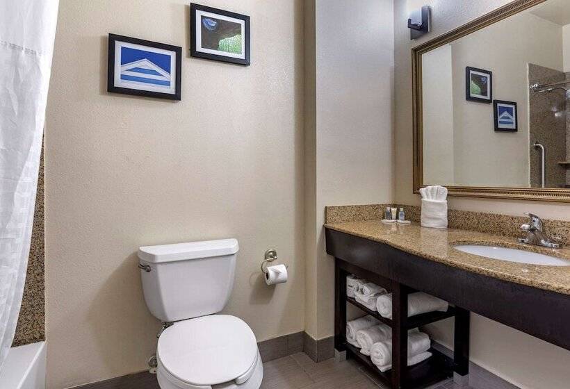 سوییت, Comfort Suites Shreveport West I20