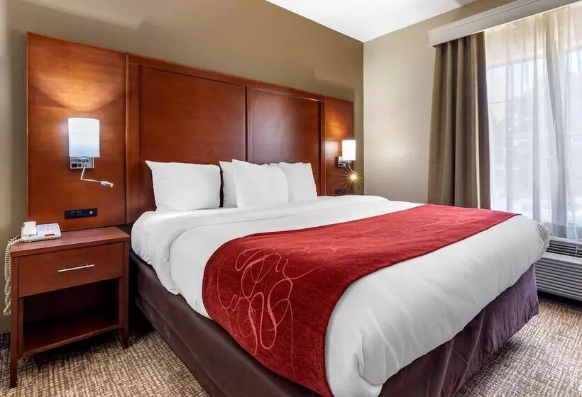 سوئیت برای معلولان, Comfort Suites Shreveport West I20