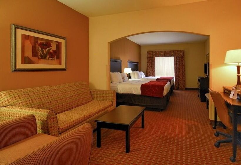 장애인을 위한 스위트, Comfort Suites Shreveport West I20