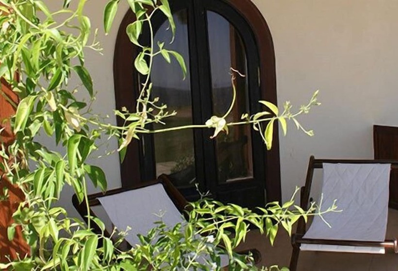 اتاق استاندارد, Dahab Paradise