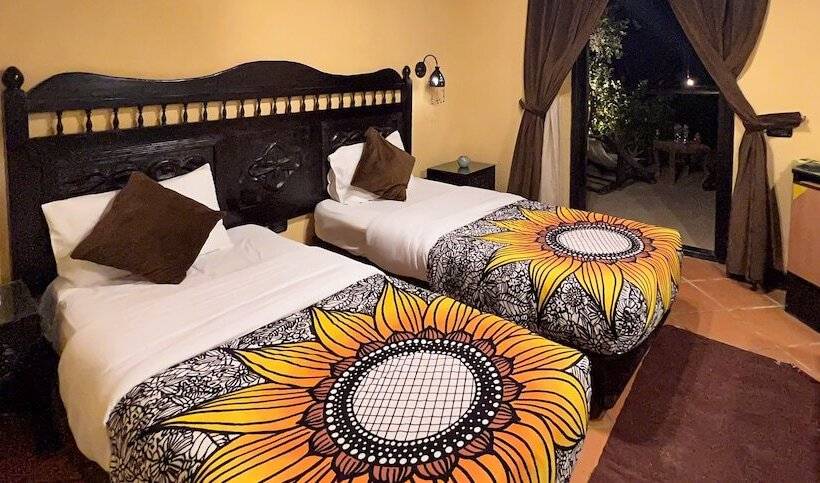 اتاق استاندارد, Dahab Paradise