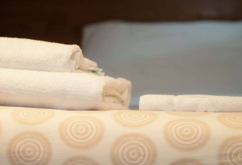 스탠다드 싱글 룸, Edinburgh House