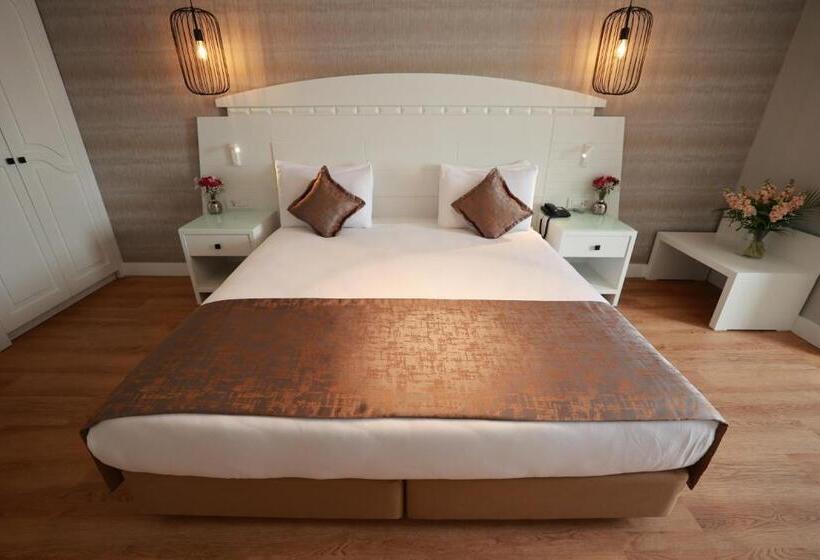 Standard Room, Nova Plaza Orion