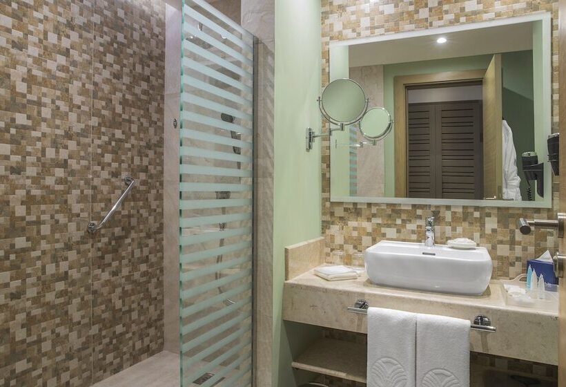 اتاق استاندارد با تخت بزرگ, The Cove Rotana Resort Ras Al Khaimah