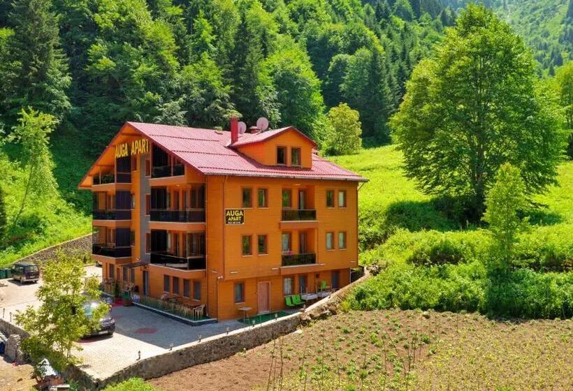 1 Bedroom Apartment Lake View, Auga Apart