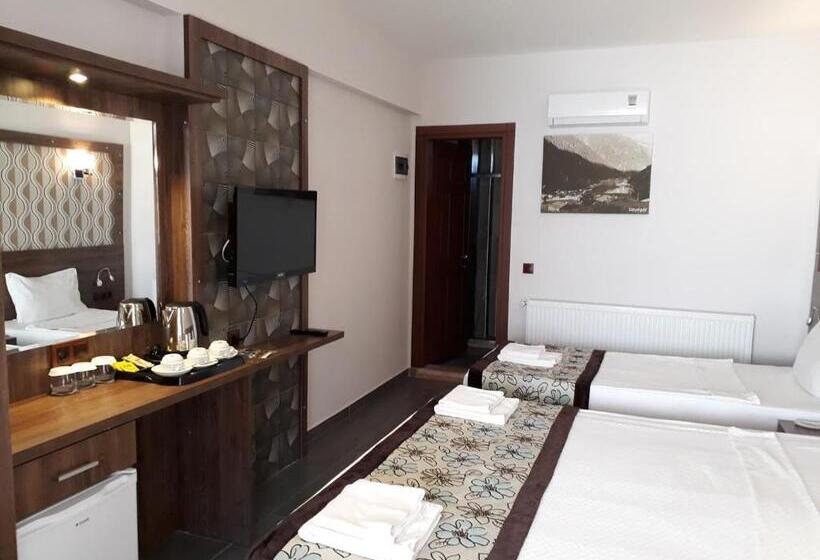 اتاق استاندارد سه تخته با بالکن, Dolphin Apart