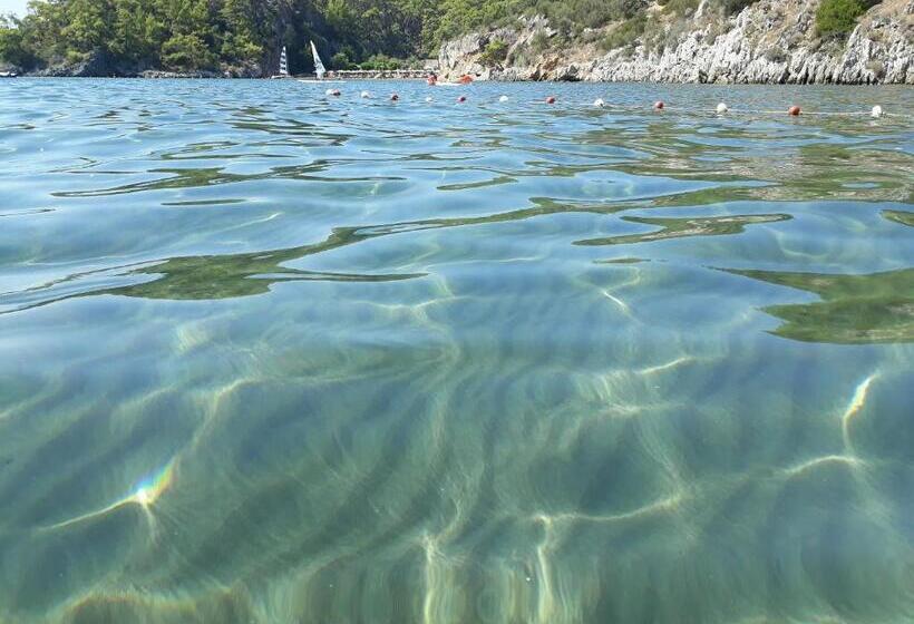 اتاق استاندارد سه تخته با بالکن, Dolphin Apart