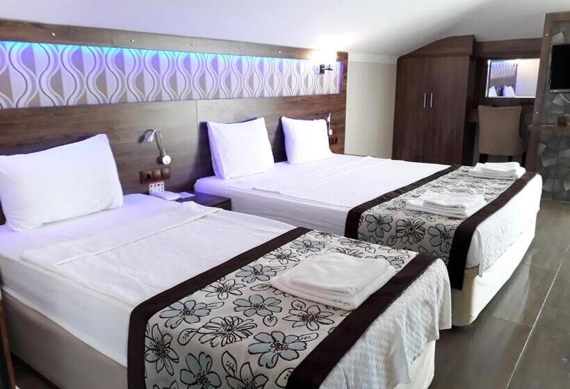 اتاق استاندارد سه تخته با بالکن, Dolphin Apart