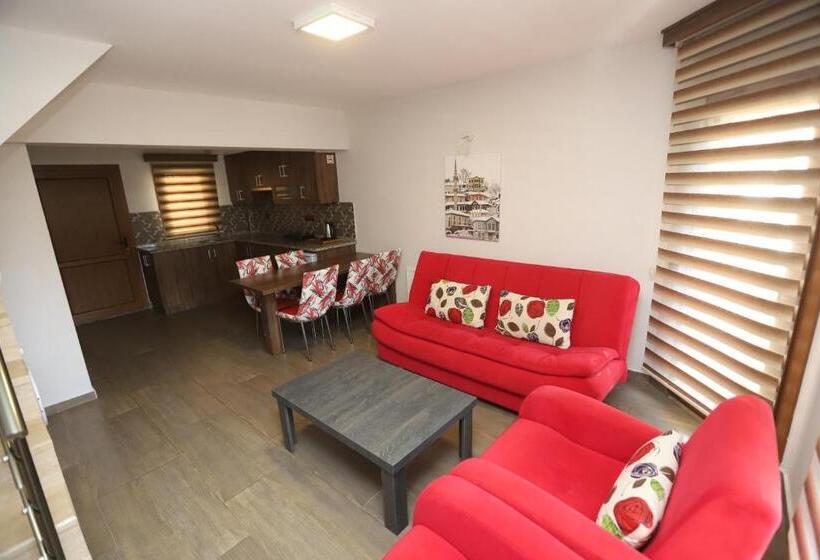 آپارتمان دوبلکس 1 خوابه, Dolphin Apart