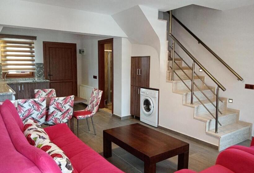 آپارتمان دوبلکس 1 خوابه, Dolphin Apart