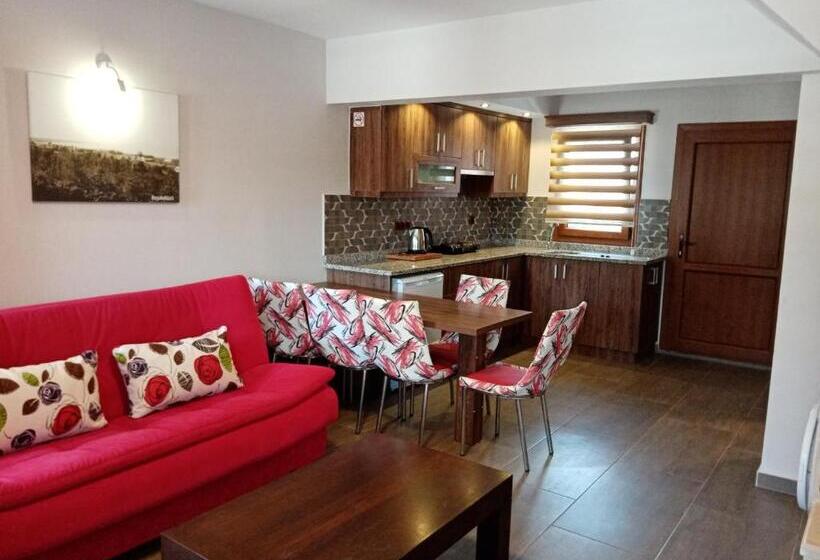 آپارتمان دوبلکس 1 خوابه, Dolphin Apart