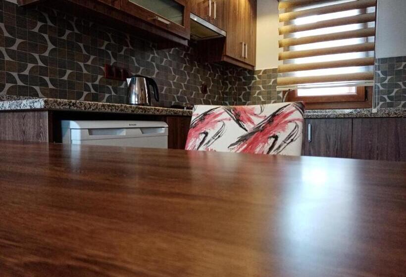 آپارتمان دوبلکس 1 خوابه, Dolphin Apart