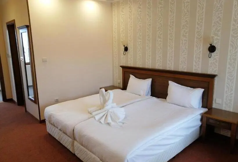 اتاق اکونومی یک تخته, Park Hotel Panorama