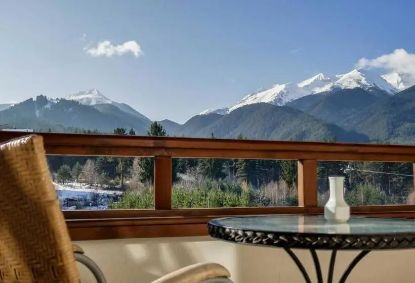 اتاق استاندارد با چشم‌انداز کوهستان, Park Hotel Panorama