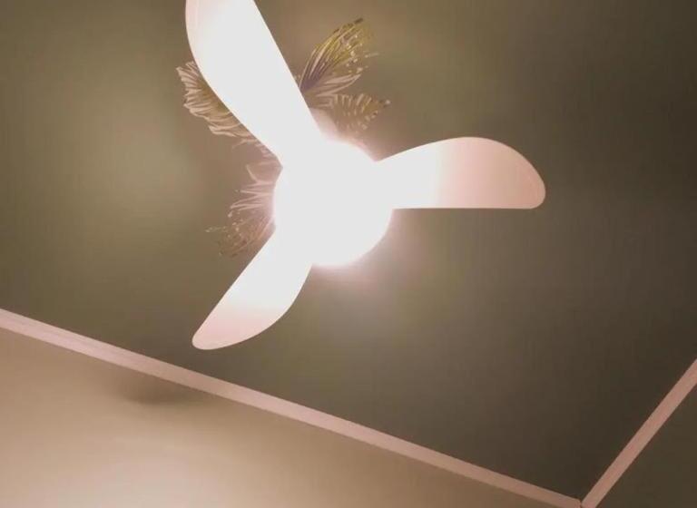 اتاق استاندارد یک تخته با سرویس بهداشتی مشترک, Elô Hostel