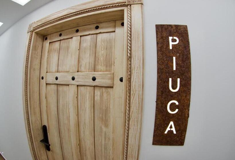 스탠다드 룸, El Refugio