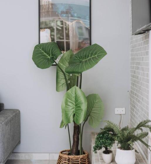 غرفة سوبيريور ثلاثية, The Living Collective Villa