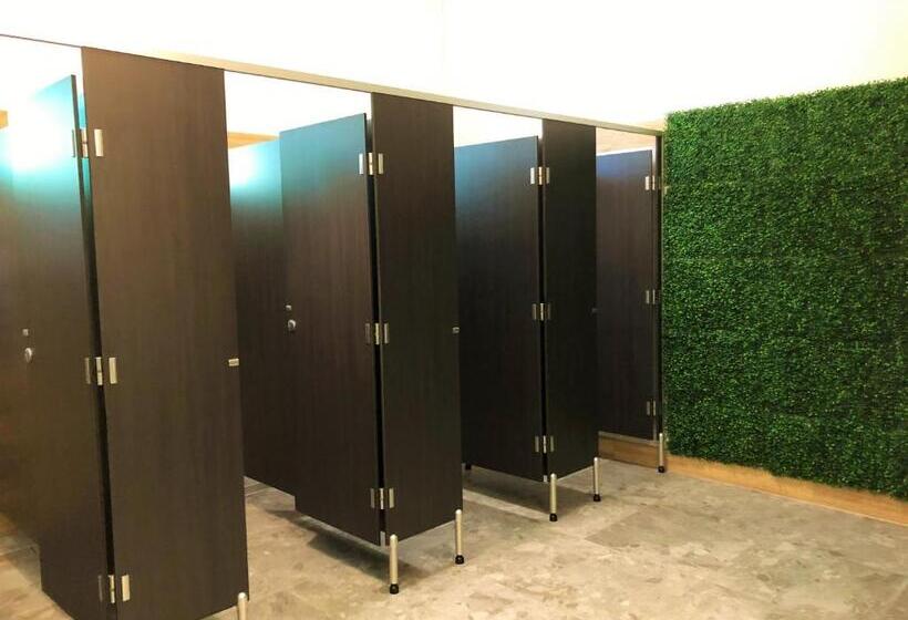 سرير فى غرفة مشتركه, Tequila Sunrise Hostel Surfers Paradise