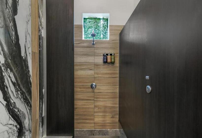 سرير فى غرفة مشتركه, Tequila Sunrise Hostel Surfers Paradise