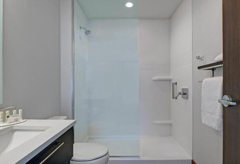 إستوديو قياسى, Towneplace Suites By Marriott Cincinnati Downtown