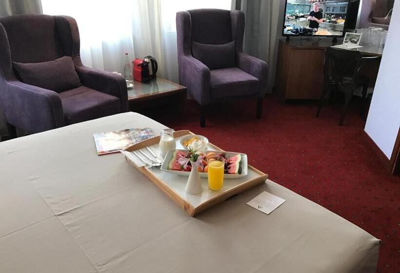 غرفة قياسية, Art 'otel