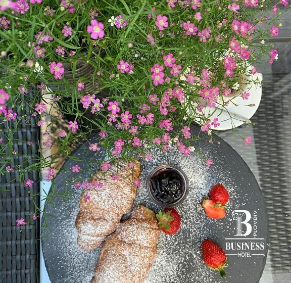 스탠다드 스튜디오, Business Hotel Plovdiv