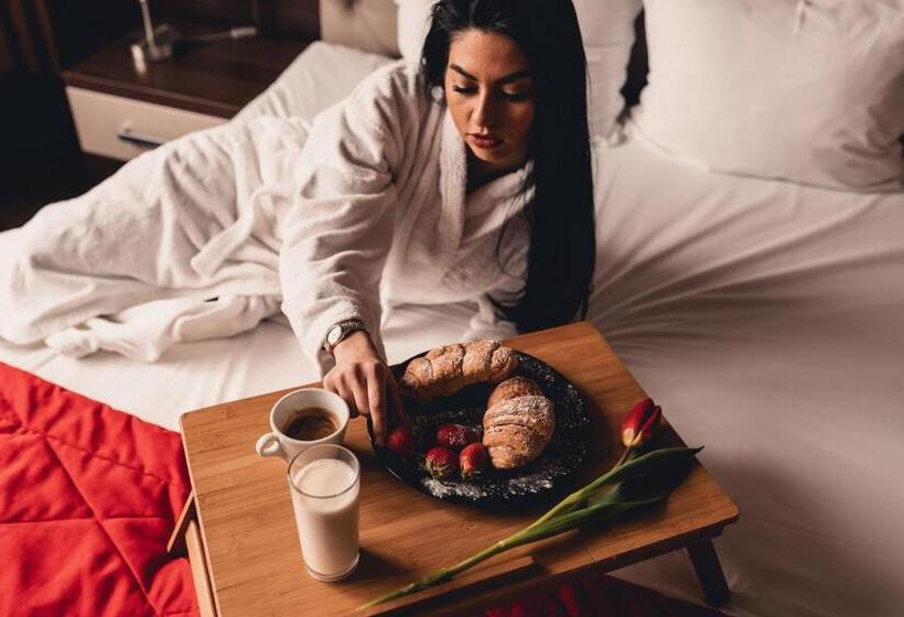 스탠다드 룸, Business Hotel Plovdiv