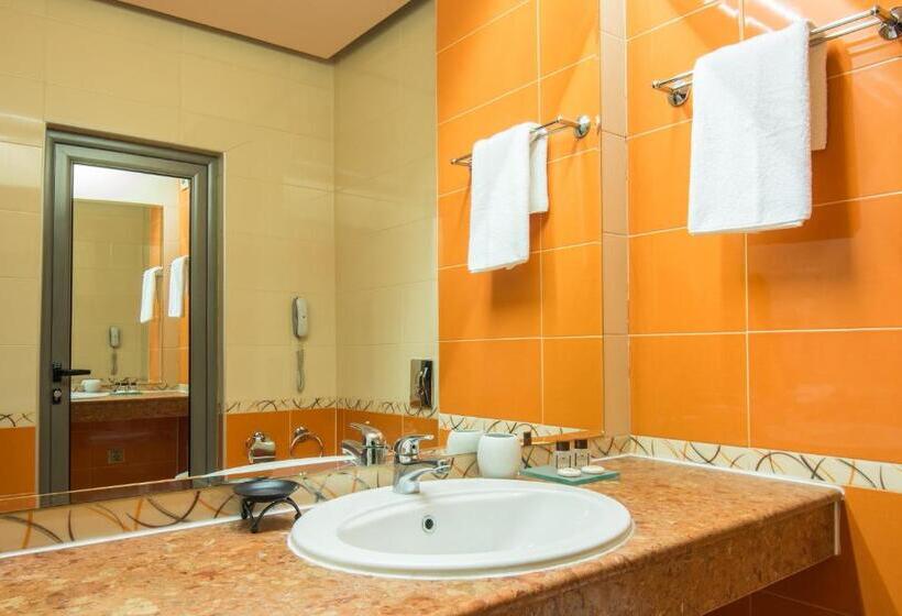 스탠다드 룸, Business Hotel Plovdiv