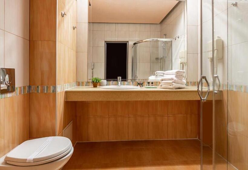 스탠다드 룸, Business Hotel Plovdiv