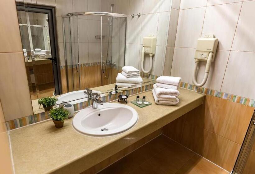 스탠다드 룸, Business Hotel Plovdiv