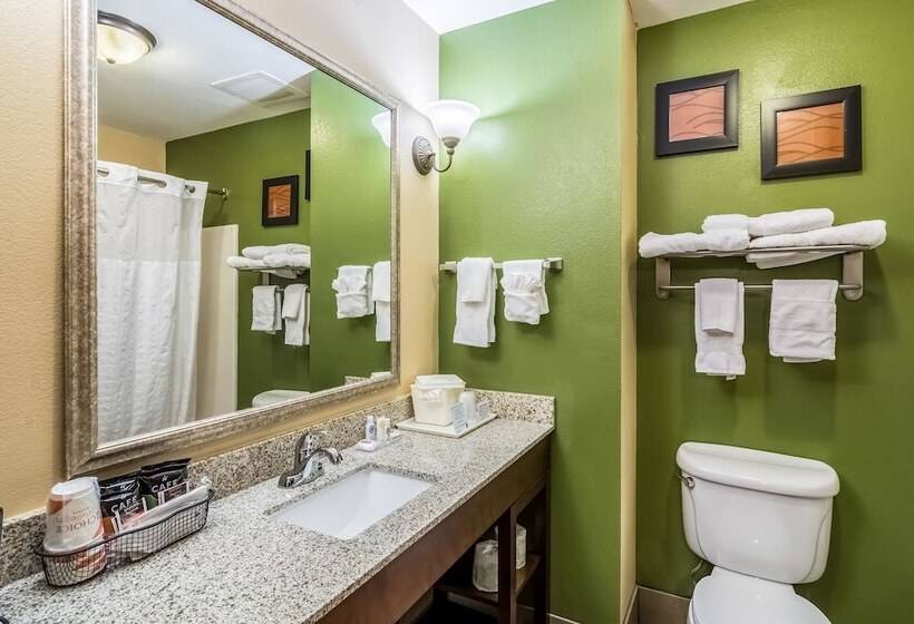 スイート, Comfort Inn & Suites Panama City North