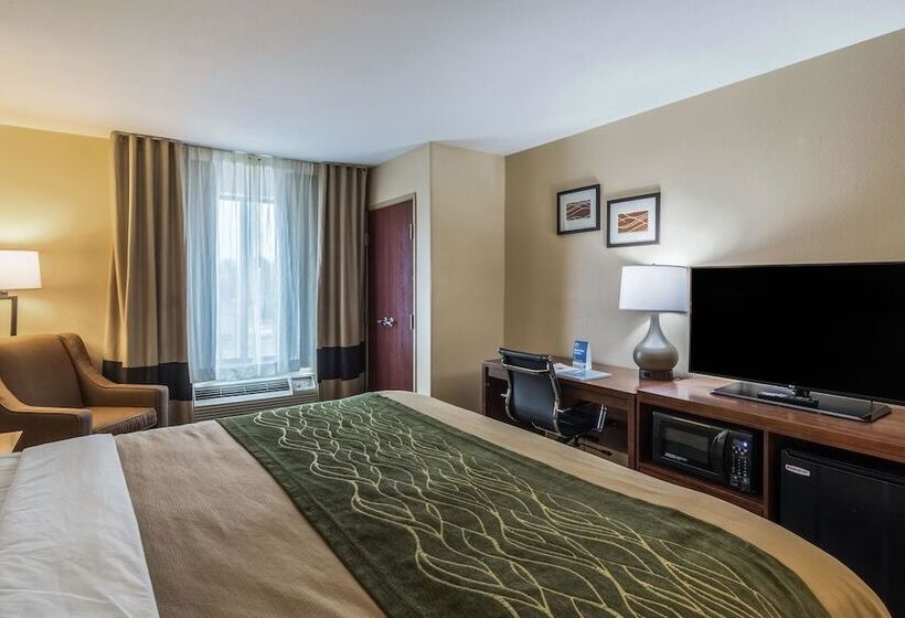 套房, Comfort Inn & Suites Panama City North