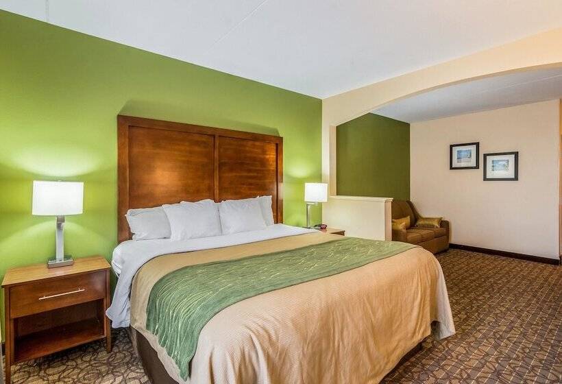 スイート, Comfort Inn & Suites Panama City North