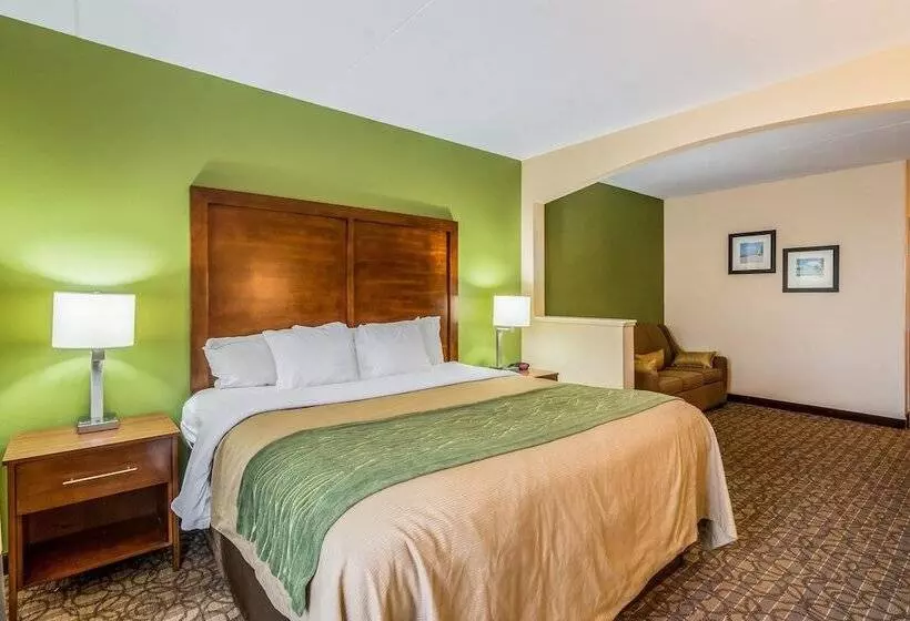 سوییت, Comfort Inn & Suites Panama City North