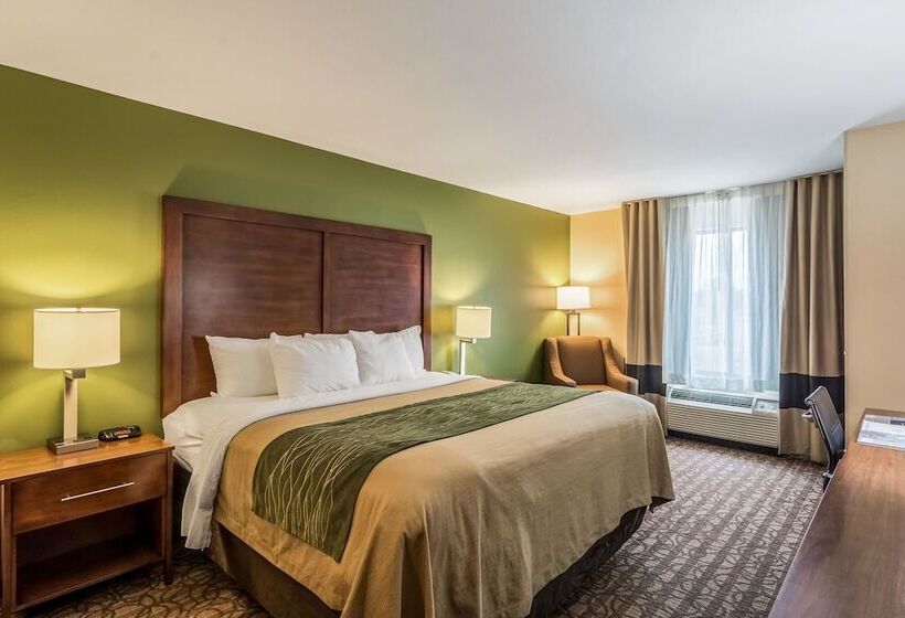 スイート, Comfort Inn & Suites Panama City North