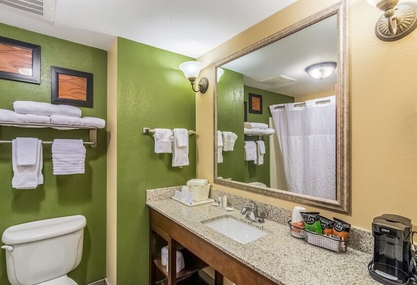 套房, Comfort Inn & Suites Panama City North
